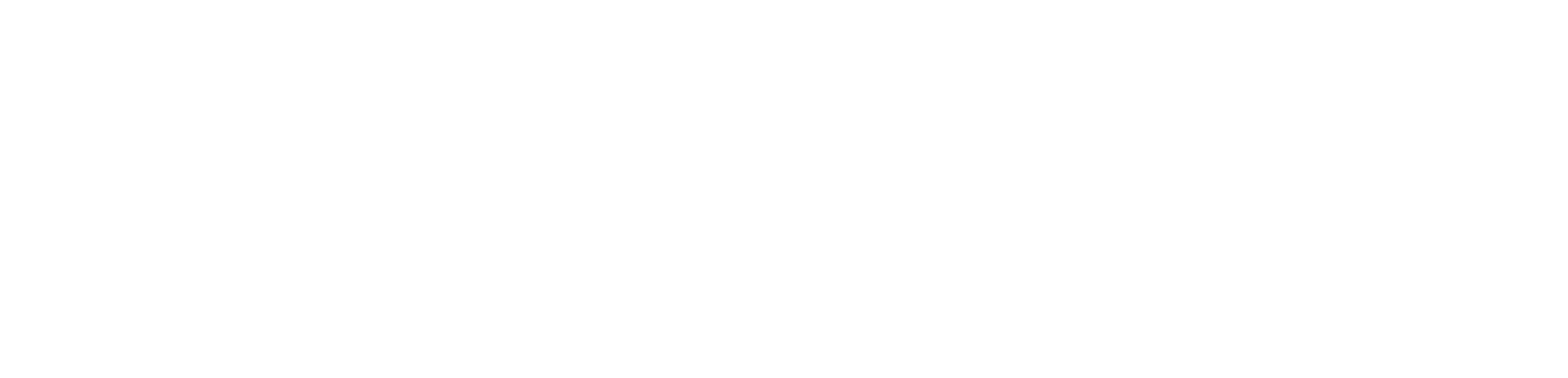 Asset 40