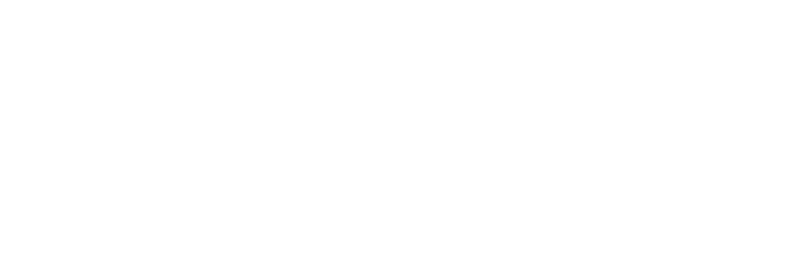 Asset 41