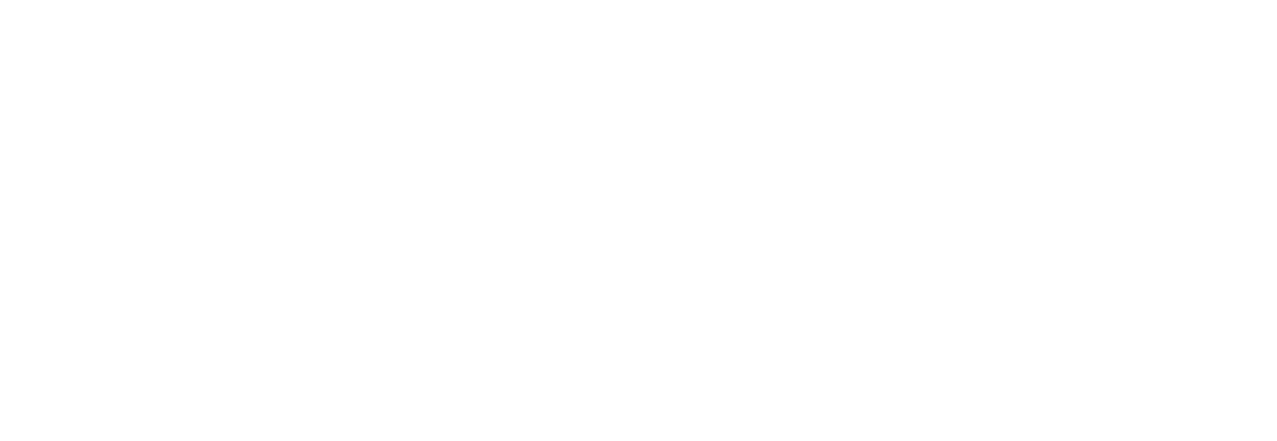 Asset 45