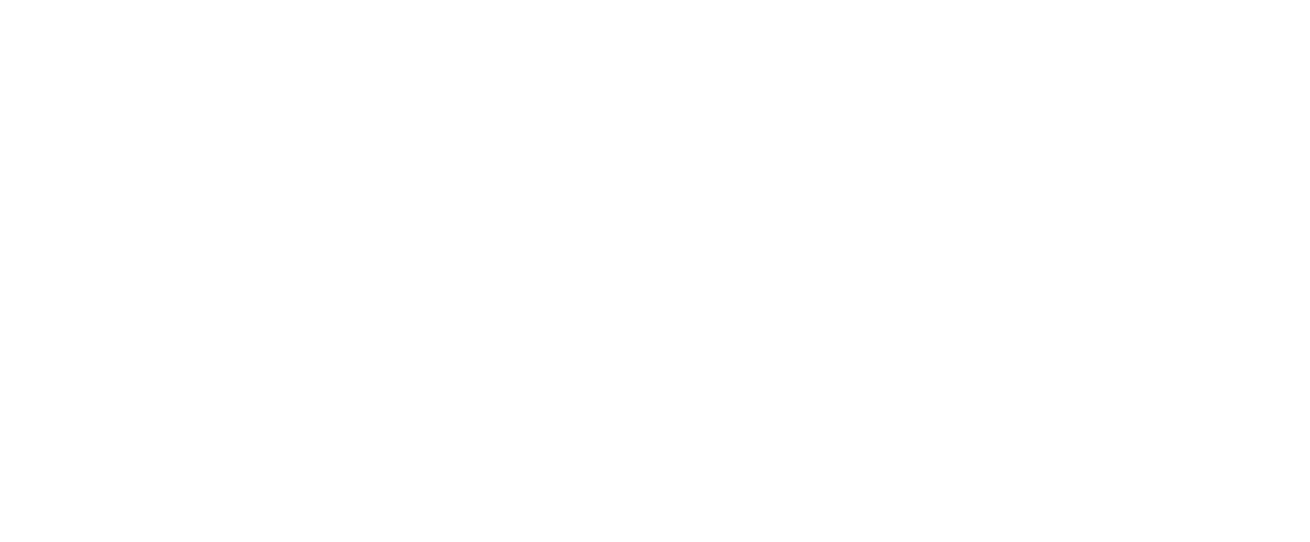 Asset 47