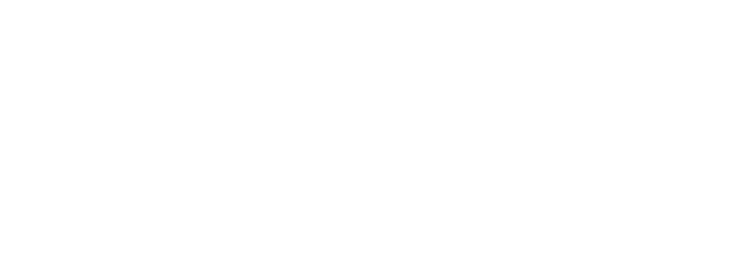 Asset 48